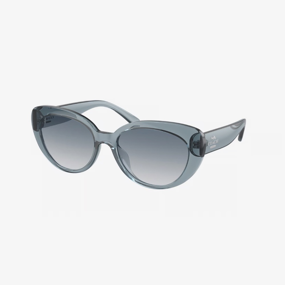 COACH Sunglasses EUC - Picture 8 of 8